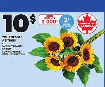 Provigo TOURNESOLS À 5 TIGES | 5 STEM SUNFLOWERS, CH offer