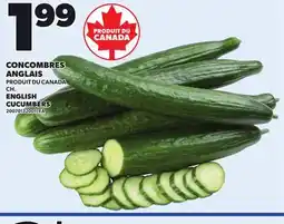 Provigo CONCOMBRES ANGLAIS | ENGLISH CUCUMBERS, CH offer