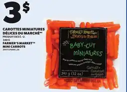 Provigo CAROTTES MINIATURES DÉLICES DU MARCHÉ | FARMER'S MARKET MINI CARROTS, 340 G offer