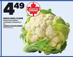 Provigo GROS CHOU-FLEUR | LARGE CAULIFLOWER offer