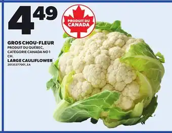 Provigo GROS CHOU-FLEUR | LARGE CAULIFLOWER offer