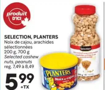 Brunet SELECTION | PLANTERS sélectionnées offer