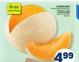 Marché Bonichoix CANTALOUPE offer