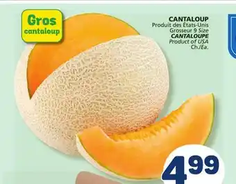 Marché Bonichoix CANTALOUPE offer
