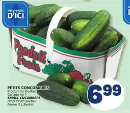 Marché Bonichoix SMALL CUCUMBERS offer