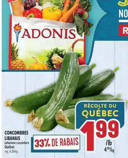 Marché Adonis CONCOMBRES LIBANAIS | LEBANESE CUCUMBERS offer