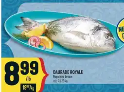 Marché Adonis DAURADE ROYALE | ROYAL SEA BREAM offer