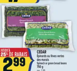 Marché Adonis CEDAR ÉPINARDS OU FÈVES VERTES DES MARAIS | CEDAR SPINACH OR GREEN BROAD BEANS offer