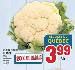 Marché Adonis CHOUX-FLEURS BLANCS | WHITE CAULIFLOWERS offer