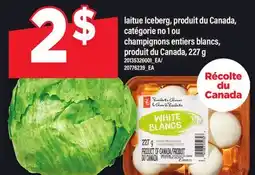 Maxi LAITUE ICEBERG | CHAMPIGNONS ENTIERS BLANCS, 227 g offer