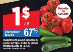 Maxi Courgette verte ou tomates sur vigne offer