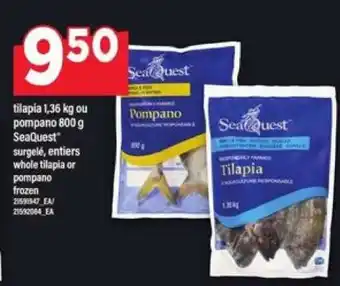Maxi SeaQuest Tilapia or Pompano offer