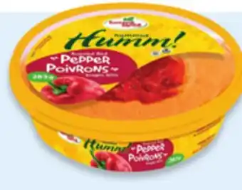Walmart Fontaine Santé Topped Hummus offer
