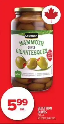 Metro SELECTION OLIVES offer