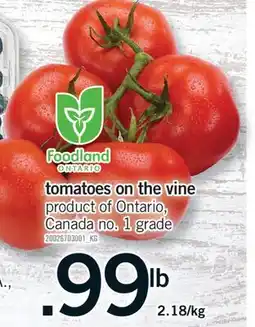 Fortinos TOMATOES ON THE VINE offer