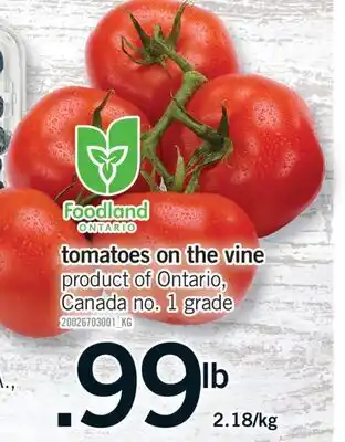 Fortinos TOMATOES ON THE VINE offer