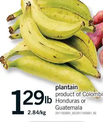 Fortinos PLANTAIN offer