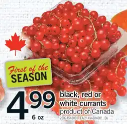 Fortinos BLACK, RED OR WHITE CURRANTS, 6 OZ offer
