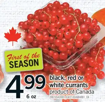 Fortinos BLACK, RED OR WHITE CURRANTS, 6 OZ offer