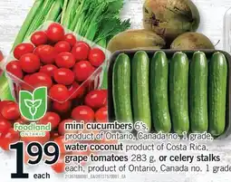 Fortinos MINI CUCUMBERS 6'S, WATER COCONUT, GRAPE TOMATOES 283 G, OR CELERY STALKS offer