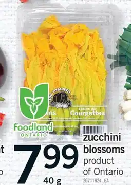 Fortinos ZUCCHINI BLOSSOMS, 40 G offer
