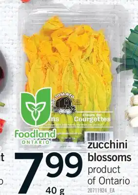 Fortinos ZUCCHINI BLOSSOMS, 40 G offer
