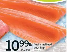 Fortinos FRESH STEELHEAD TROUT FILLET offer
