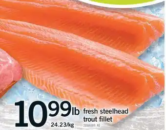 Fortinos FRESH STEELHEAD TROUT FILLET offer