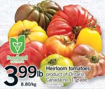 Fortinos HEIRLOOM TOMATOES offer