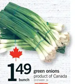 Fortinos GREEN ONIONS offer