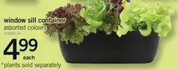 Fortinos WINDOW SILL CONTAINER offer