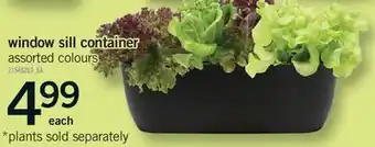 Fortinos WINDOW SILL CONTAINER offer