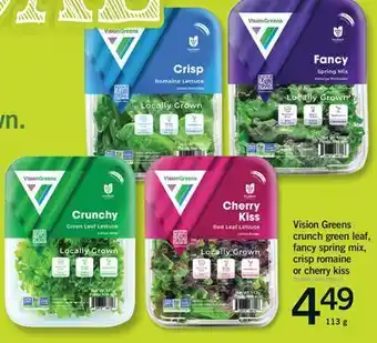 Fortinos VISION GREENS CRUNCH GREEN LEAF, FANCY SPRING MIX, CRISP ROMAINE OR CHERRY KISS, 113 g offer