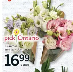 Fortinos LISIANTHUS offer