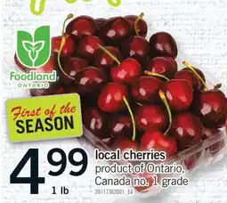 Fortinos LOCAL CHERRIES, 1 lb offer