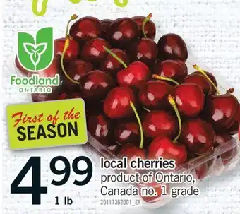 Fortinos LOCAL CHERRIES, 1 lb offer