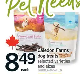 Fortinos CALEDON FARMS DOG TREATS offer