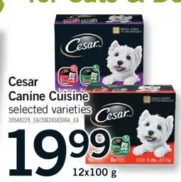 Fortinos CESAR CANINE CUISINE, 12X100 G offer