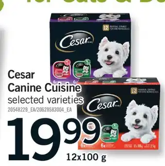 Fortinos CESAR CANINE CUISINE, 12X100 G offer