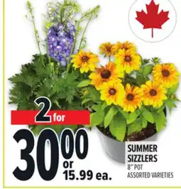 Metro SUMMER SIZZLERS offer
