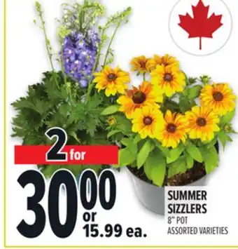 Metro SUMMER SIZZLERS offer