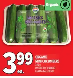 Metro ORGANIC MINI CUCUMBERS offer