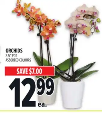 Metro ORCHIDS offer