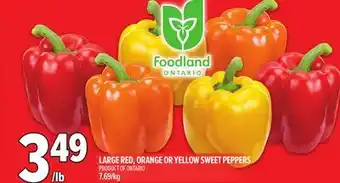 Metro LARGE RED, ORANGE OR YELLOW SWEET PEPPERS offer