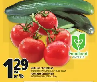 Metro SEEDLESS CUCUMBERS | TOMATOES ON THE VINE offer