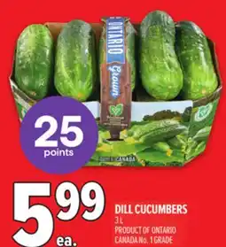 Metro DILL CUCUMBERS offer