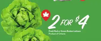 Longo's Fresh Red or Green Boston Lettuce offer