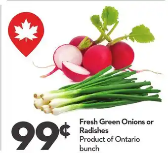 Longo's Fresh Green Onions or Radishes offer