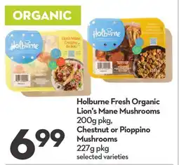 Longo's Holburne Fresh Organic Lion's Mane Mushrooms 200g pkg, Chestnut or Pioppino Mushrooms 227g pkg offer