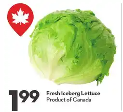 Longo's Fresh Iceberg Lettuce offer